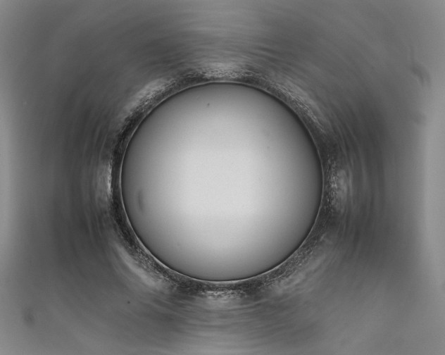 X0000111860686200907231452