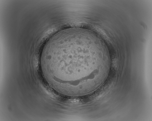 X0000111860687200907231452