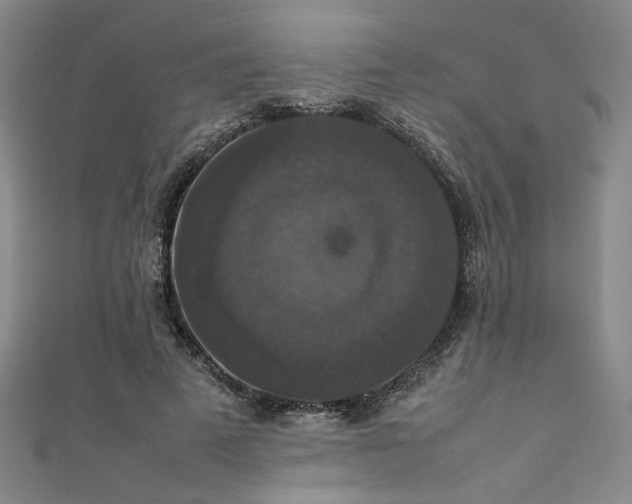 X0000111860689200907231452