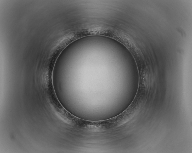 X0000111860690200907231452