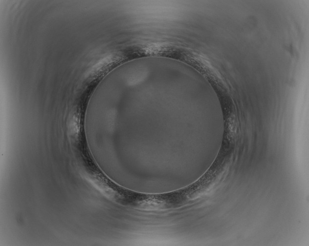 X0000111860691200907231452