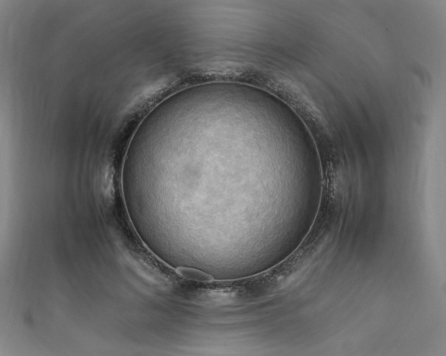 X0000111860692200907231452