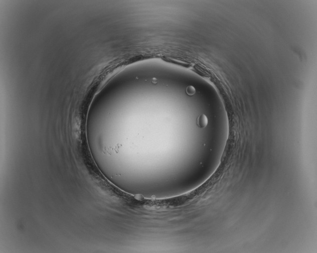 X0000111860693200907231452