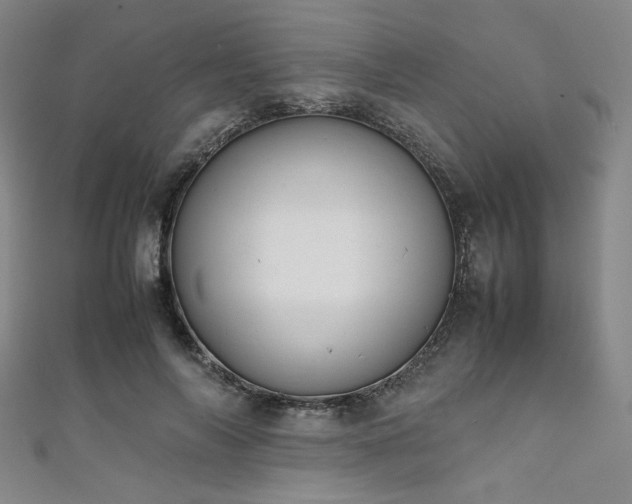 X0000111860694200907231452