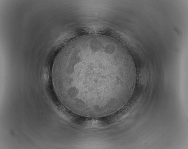X0000111860695200907231452