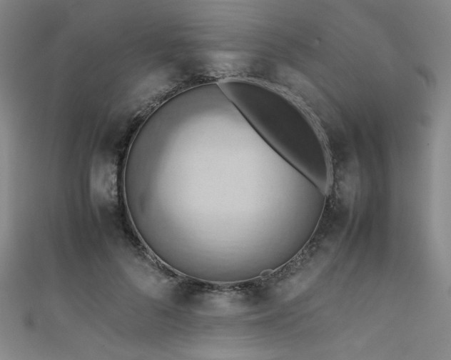 X0000111860696200907231452