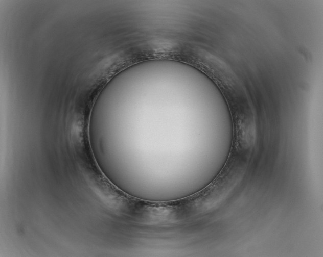 X0000111860698200907231452