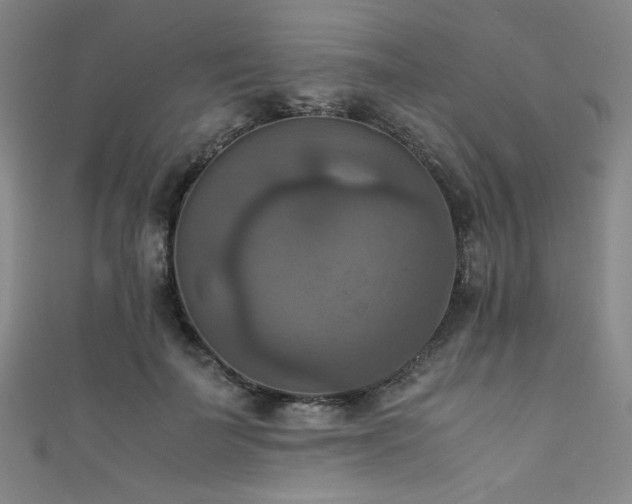 X0000111860699200907231452