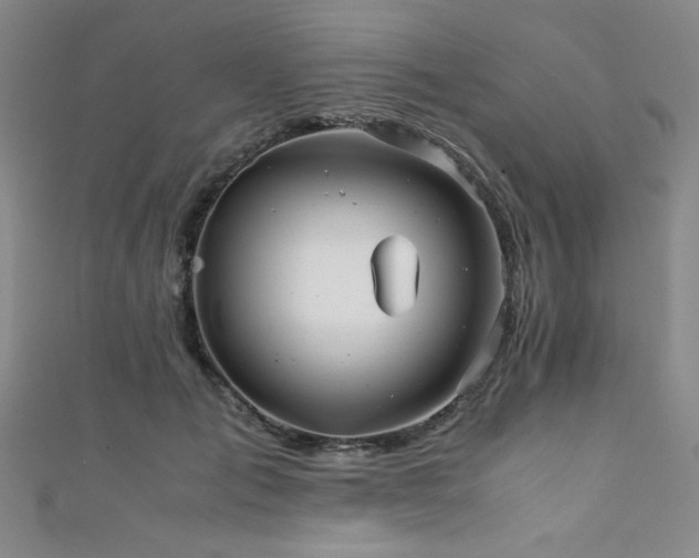 X0000111860701200907231452