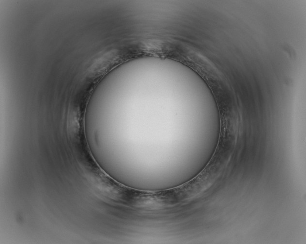 X0000111860702200907231452