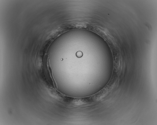 X0000111860704200907231452
