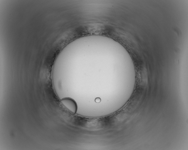X0000111860705200907231452