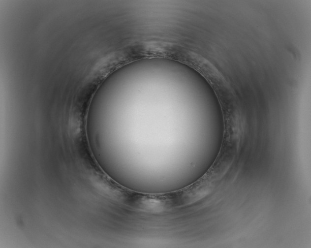 X0000111860706200907231452
