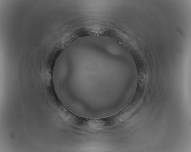 X0000111860707200907231452