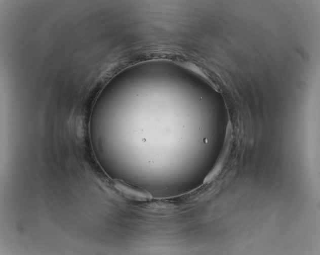 X0000111860708200907231452