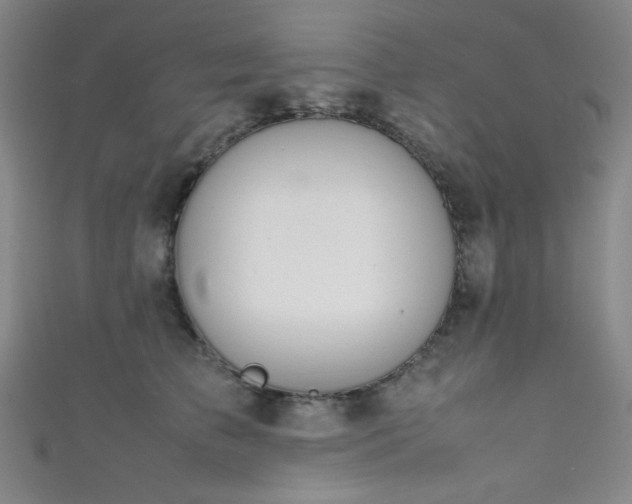 X0000111860709200907231452