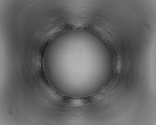 X0000111860710200907231452