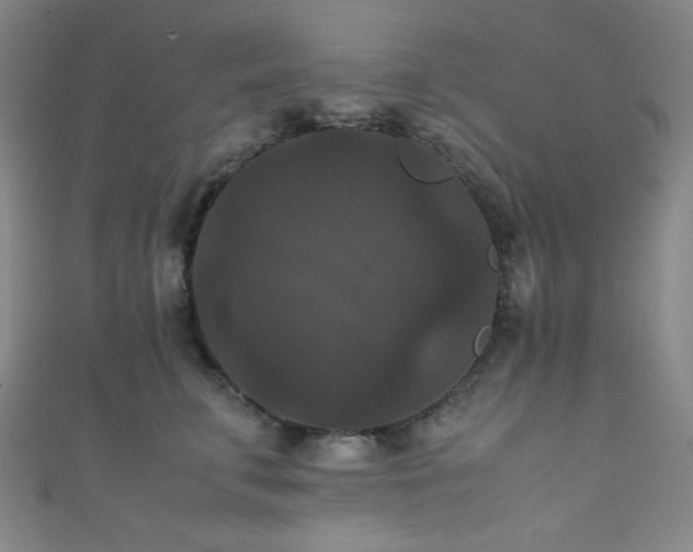 X0000111860711200907231452