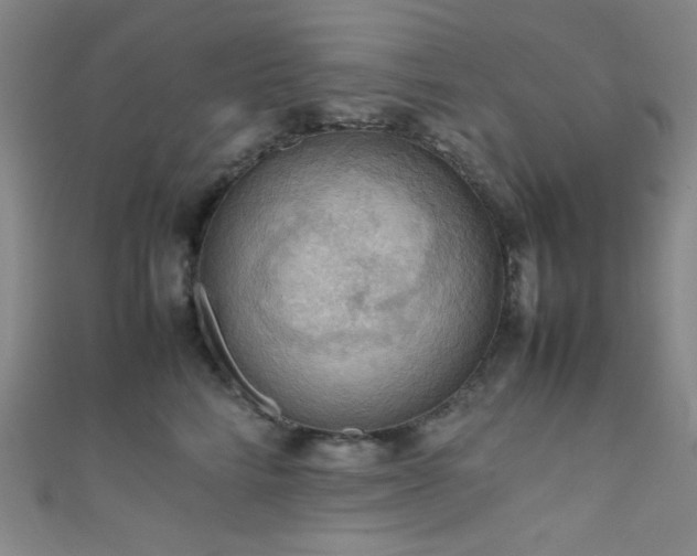 X0000111860712200907231452