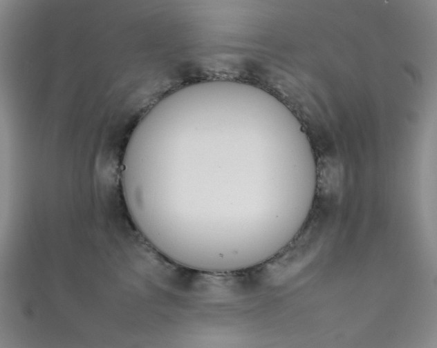 X0000111860713200907231452