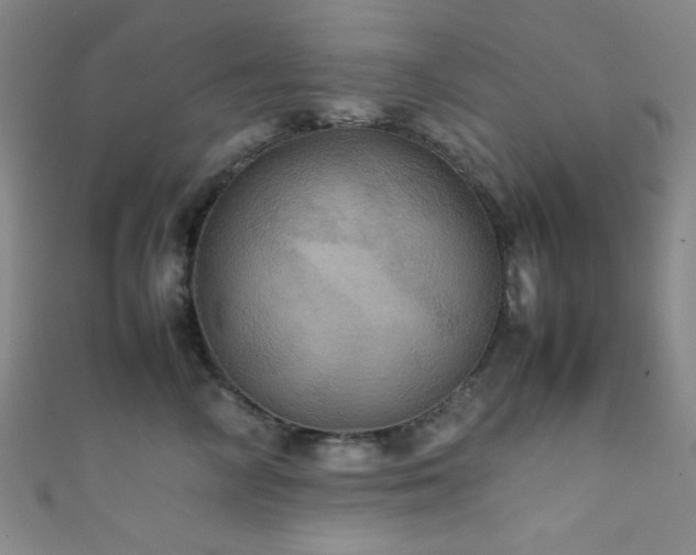 X0000111860714200907231452