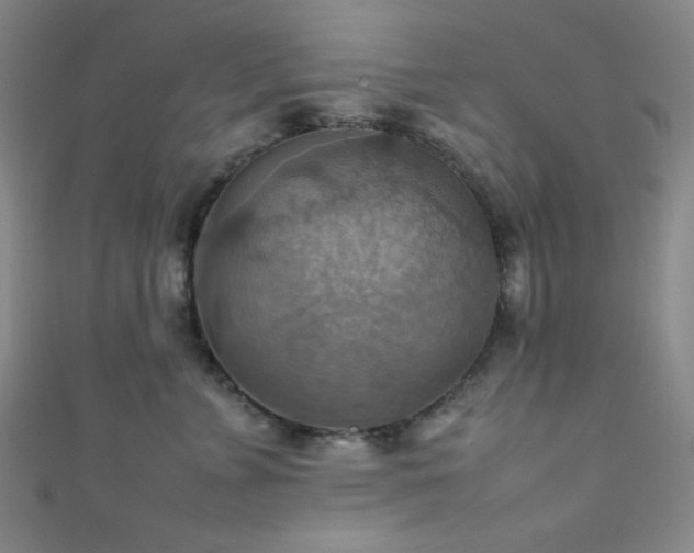X0000111860715200907231452