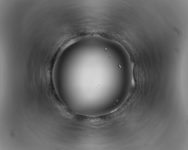 X0000111860716200907231452
