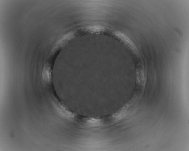 X0000111860718200907231452