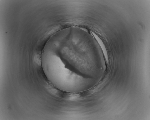 X0000111860719200907231452