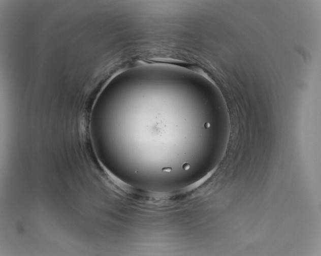 X0000111860720200907231452