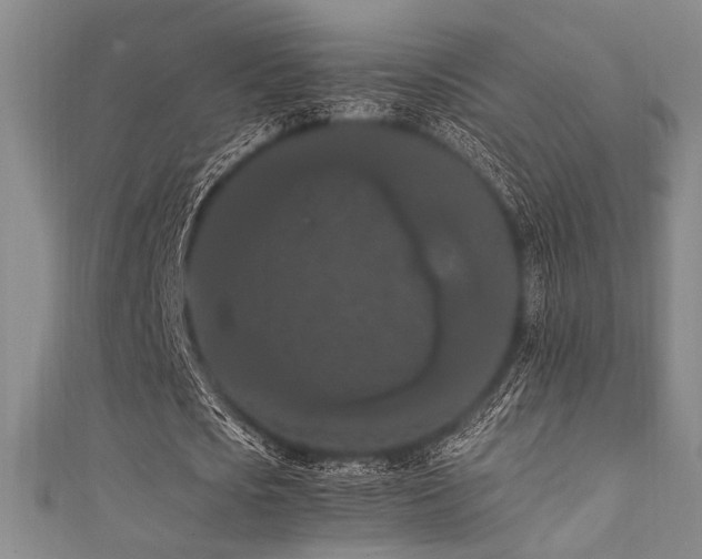X0000111860721200907231451