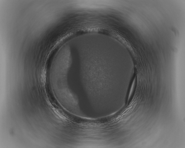 X0000111860722200907231451