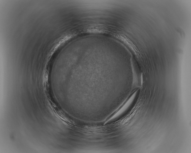 X0000111860723200907231451