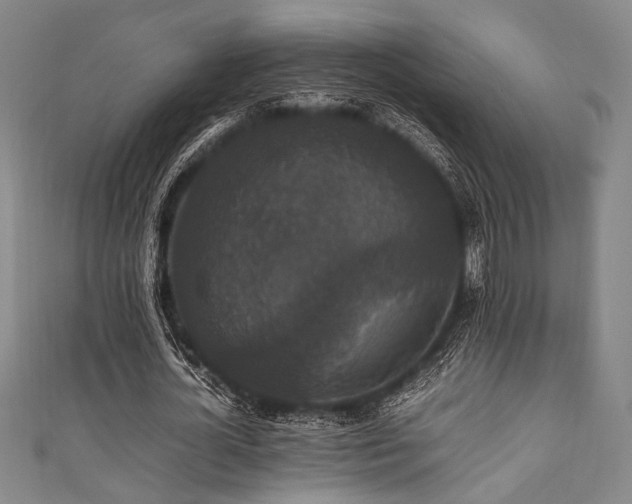 X0000111860724200907231451