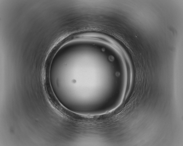 X0000111860726200907231451