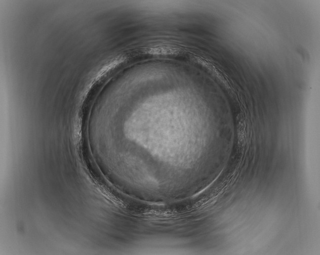 X0000111860727200907231451