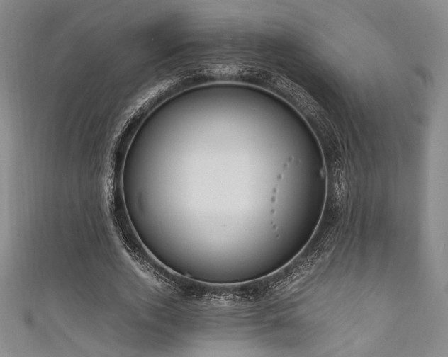 X0000111860728200907231451
