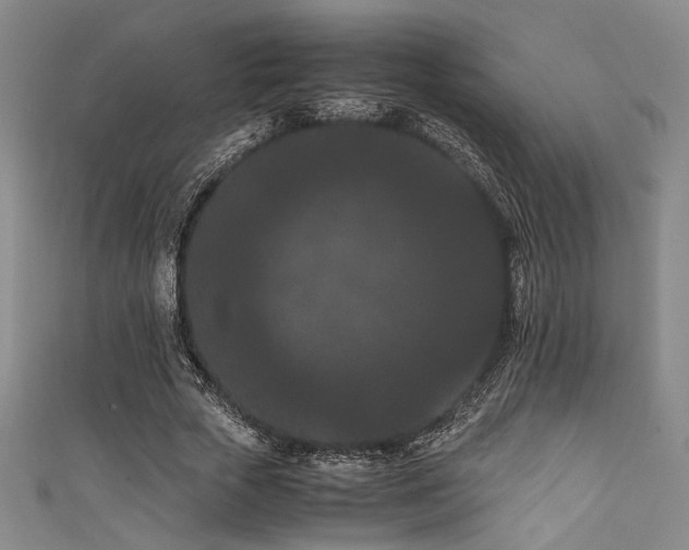 X0000111860729200907231451