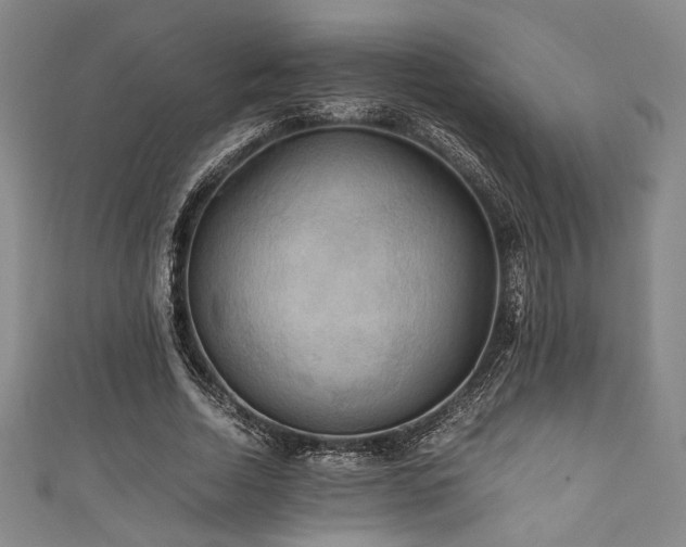 X0000111860730200907231451