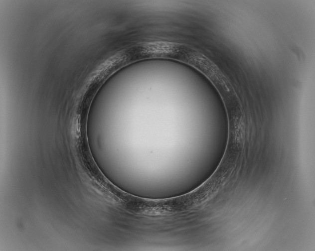 X0000111860731200907231451