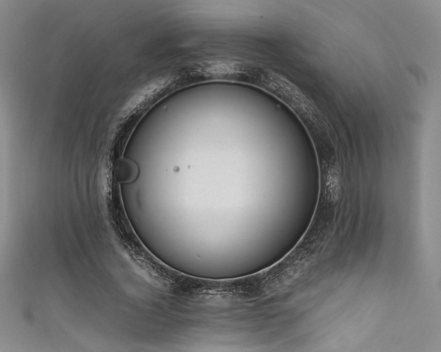 X0000111860732200907231451