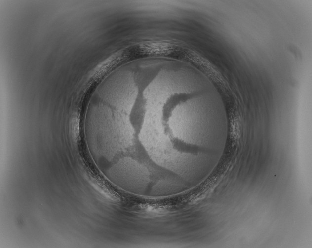 X0000111860733200907231451
