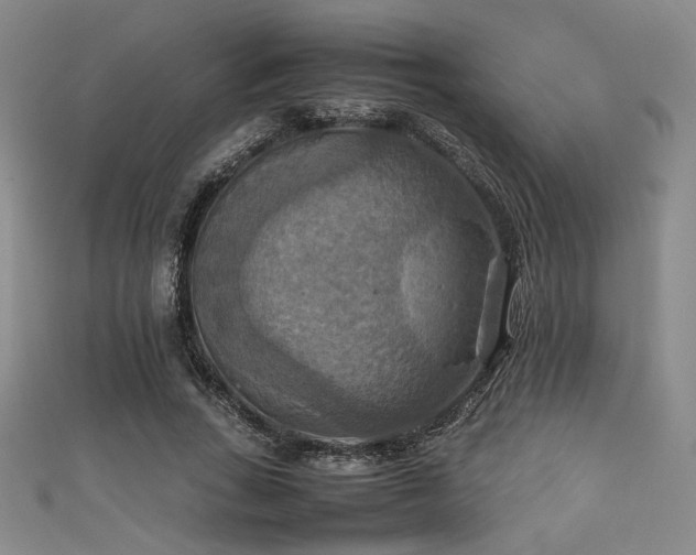 X0000111860735200907231451