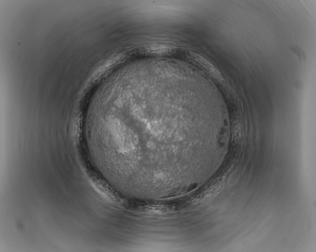 X0000111860736200907231451