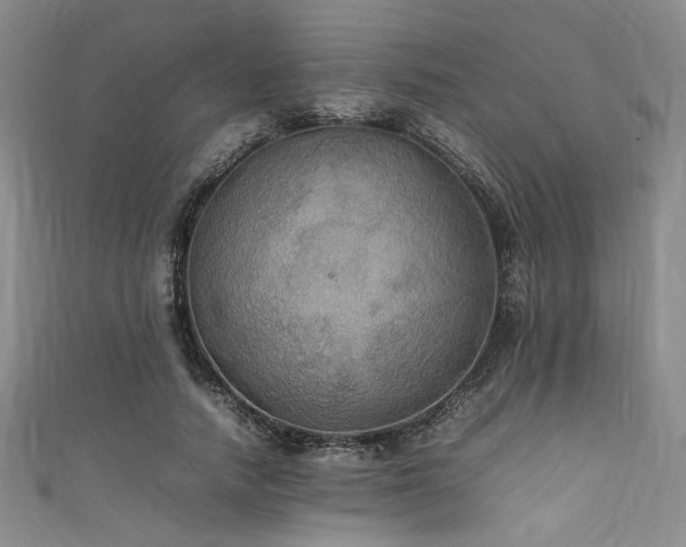 X0000111860738200907231451