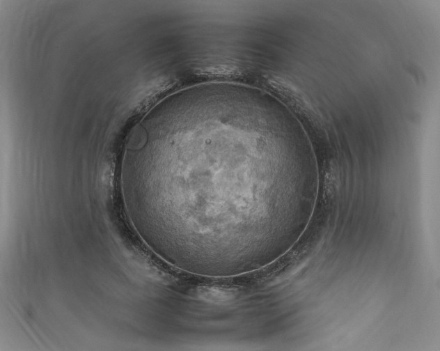 X0000111860739200907231451
