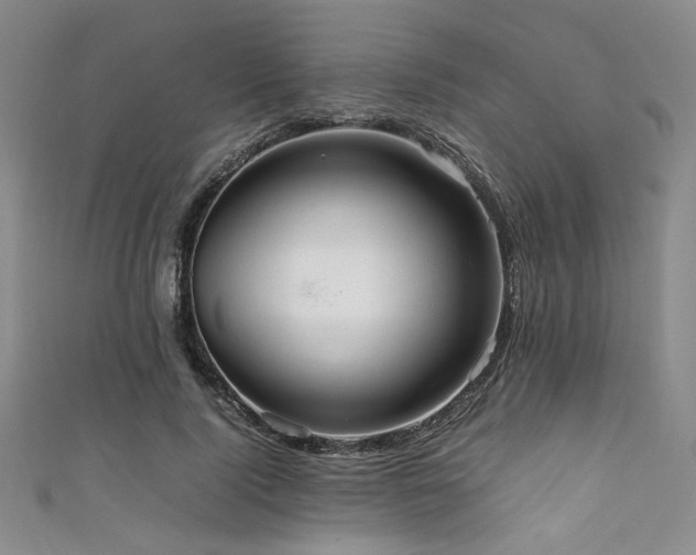 X0000111860740200907231451