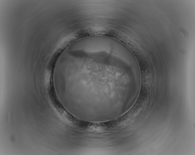 X0000111860742200907231451