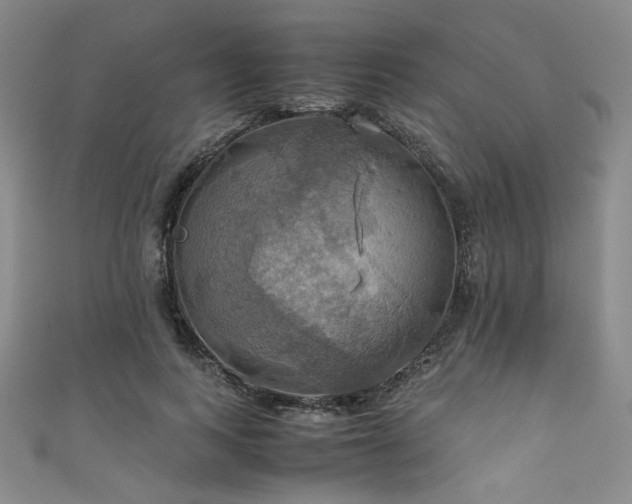 X0000111860743200907231451