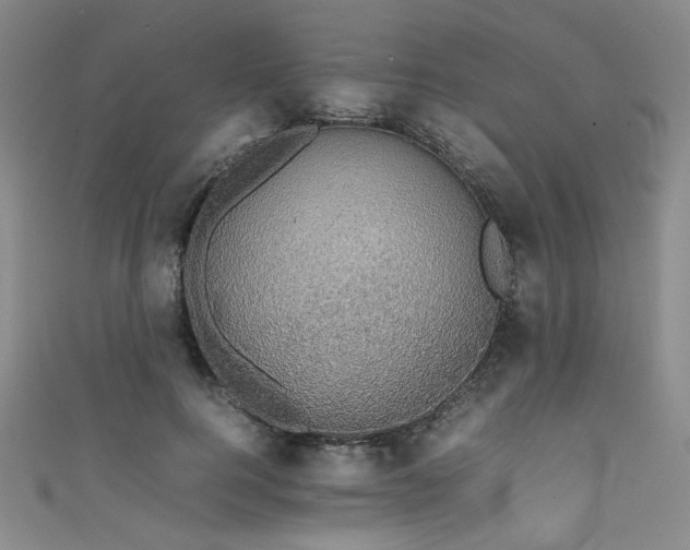 X0000111860744200907231451